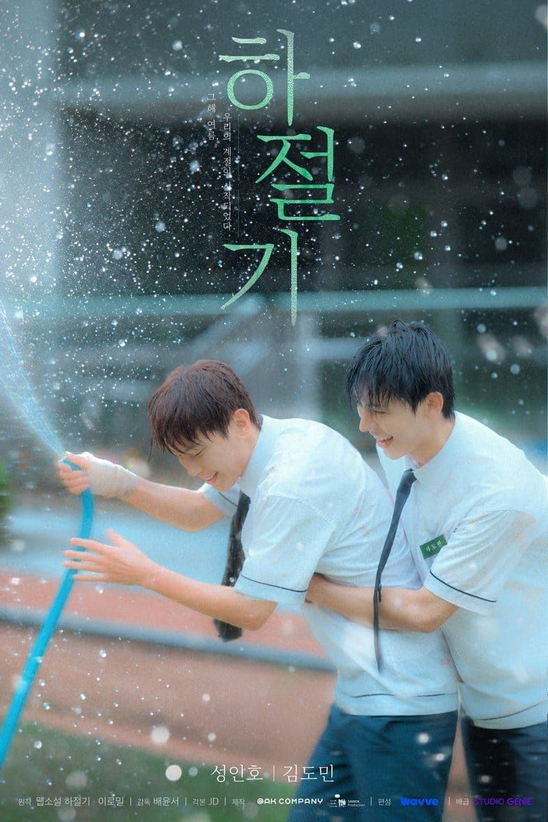 夏日时光